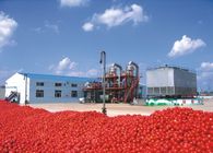 Saving Energy Tomato Ketchup Production Line , Flexible Tomato Paste Processing Equipment