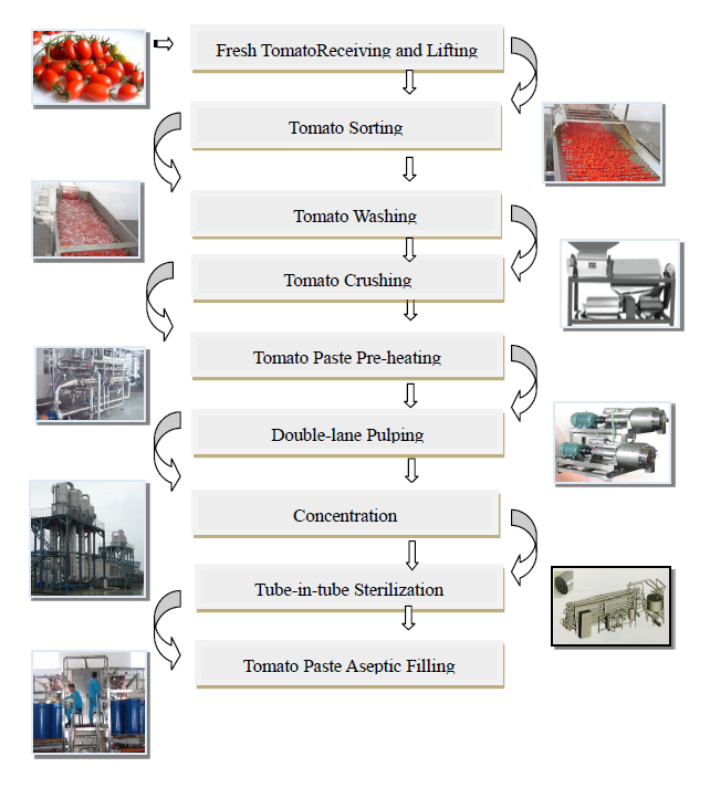 Linha de produção da ketchup de tomate da energia da economia, equipamento de processamento flexível da pasta de tomate