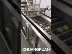 Como é produzida a água de coco?Vamos ver como funciona a fábrica de coco