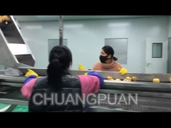 Como é produzido o sumo de frutas na fábrica?Vamos ver a linha de processamento de sumo de pêra a funcionar