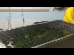 Como processar HPP ou refrescar a polpa de abacate?