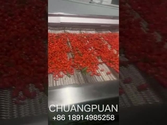 Sabe como é que o suco de espinheiro-do-mar é produzido?