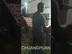 Vamos ver uma linha de produção de pasta de tomate de tipo médio em África a trabalhar.